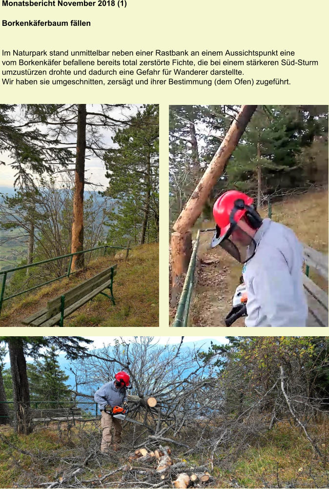 Monatsbericht November 2018 (1)  Borkenkäferbaum fällen Im Naturpark stand unmittelbar neben einer Rastbank an einem Aussichtspunkt eine vom Borkenkäfer befallene bereits total zerstörte Fichte, die bei einem stärkeren Süd-Sturm umzustürzen drohte und dadurch eine Gefahr für Wanderer darstellte. Wir haben sie umgeschnitten, zersägt und ihrer Bestimmung (dem Ofen) zugeführt.