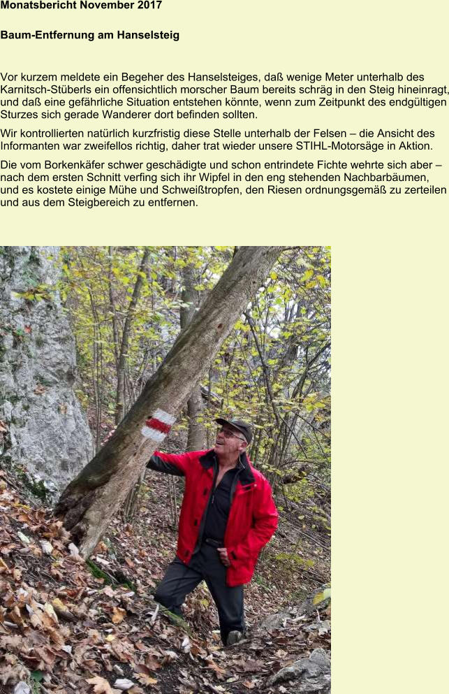 Monatsbericht November 2017  Baum-Entfernung am Hanselsteig Vor kurzem meldete ein Begeher des Hanselsteiges, daß wenige Meter unterhalb des Karnitsch-Stüberls ein offensichtlich morscher Baum bereits schräg in den Steig hineinragt, und daß eine gefährliche Situation entstehen könnte, wenn zum Zeitpunkt des endgültigen Sturzes sich gerade Wanderer dort befinden sollten. Wir kontrollierten natürlich kurzfristig diese Stelle unterhalb der Felsen – die Ansicht des Informanten war zweifellos richtig, daher trat wieder unsere STIHL-Motorsäge in Aktion. Die vom Borkenkäfer schwer geschädigte und schon entrindete Fichte wehrte sich aber – nach dem ersten Schnitt verfing sich ihr Wipfel in den eng stehenden Nachbarbäumen, und es kostete einige Mühe und Schweißtropfen, den Riesen ordnungsgemäß zu zerteilen und aus dem Steigbereich zu entfernen.