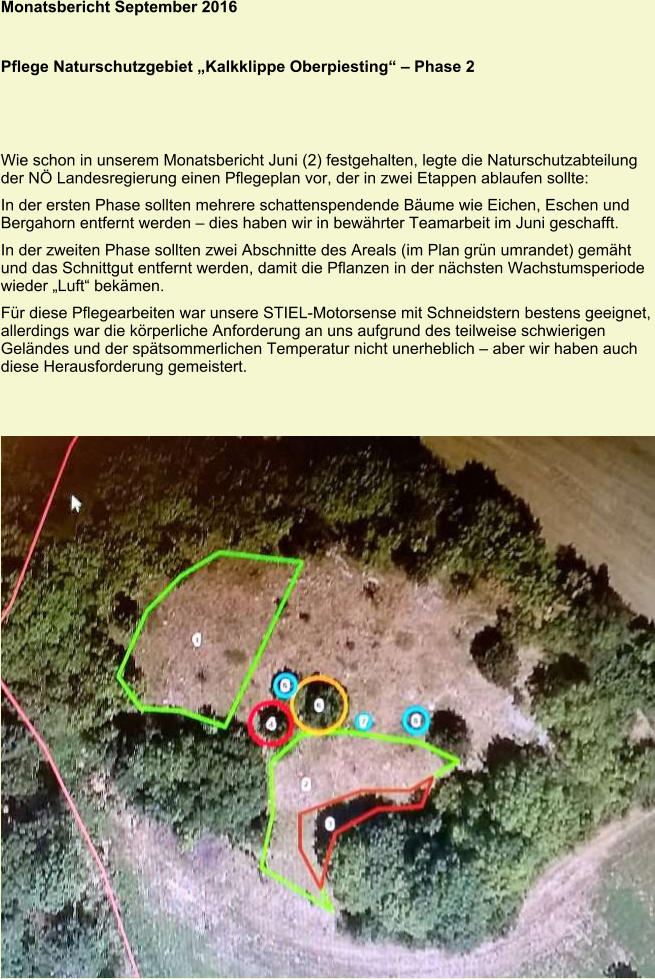 Monatsbericht September 2016   Pflege Naturschutzgebiet „Kalkklippe Oberpiesting“ – Phase 2 Wie schon in unserem Monatsbericht Juni (2) festgehalten, legte die Naturschutzabteilung der NÖ Landesregierung einen Pflegeplan vor, der in zwei Etappen ablaufen sollte: In der ersten Phase sollten mehrere schattenspendende Bäume wie Eichen, Eschen und Bergahorn entfernt werden – dies haben wir in bewährter Teamarbeit im Juni geschafft. In der zweiten Phase sollten zwei Abschnitte des Areals (im Plan grün umrandet) gemäht und das Schnittgut entfernt werden, damit die Pflanzen in der nächsten Wachstumsperiode wieder „Luft“ bekämen. Für diese Pflegearbeiten war unsere STIEL-Motorsense mit Schneidstern bestens geeignet, allerdings war die körperliche Anforderung an uns aufgrund des teilweise schwierigen Geländes und der spätsommerlichen Temperatur nicht unerheblich – aber wir haben auch diese Herausforderung gemeistert.