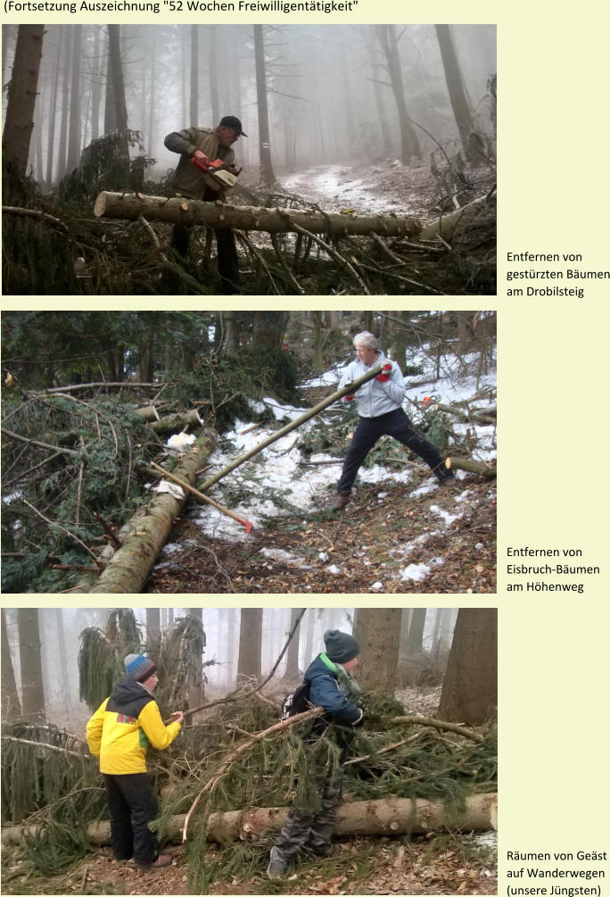 (Fortsetzung Auszeichnung "52 Wochen Freiwilligentätigkeit" Entfernen von gestürzten Bäumen am Drobilsteig Entfernen von Eisbruch-Bäumen am Höhenweg Räumen von Geäst auf Wanderwegen (unsere Jüngsten)