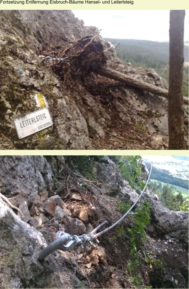 Fortsetzung Entfernung Eisbruch-Bäume Hansel- und Leiterlsteig