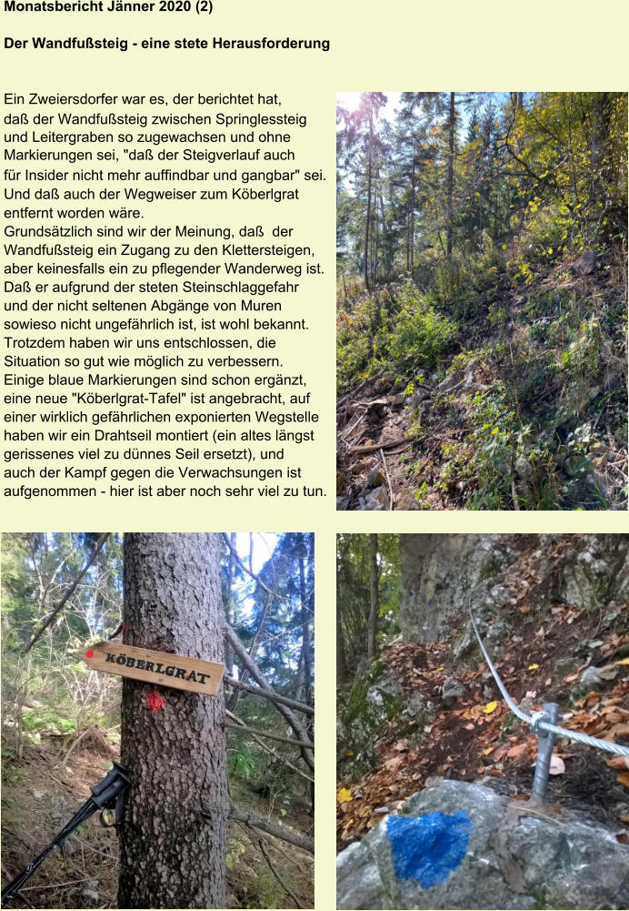 Monatsbericht Jänner 2020 (2) Der Wandfußsteig - eine stete Herausforderung Ein Zweiersdorfer war es, der berichtet hat,  daß der Wandfußsteig zwischen Springlessteig und Leitergraben so zugewachsen und ohne Markierungen sei, "daß der Steigverlauf auch für Insider nicht mehr auffindbar und gangbar" sei. Und daß auch der Wegweiser zum Köberlgrat entfernt worden wäre. Grundsätzlich sind wir der Meinung, daß  der Wandfußsteig ein Zugang zu den Klettersteigen, aber keinesfalls ein zu pflegender Wanderweg ist. Daß er aufgrund der steten Steinschlaggefahr und der nicht seltenen Abgänge von Muren sowieso nicht ungefährlich ist, ist wohl bekannt. Trotzdem haben wir uns entschlossen, die Situation so gut wie möglich zu verbessern. Einige blaue Markierungen sind schon ergänzt, eine neue "Köberlgrat-Tafel" ist angebracht, auf einer wirklich gefährlichen exponierten Wegstelle haben wir ein Drahtseil montiert (ein altes längst gerissenes viel zu dünnes Seil ersetzt), und auch der Kampf gegen die Verwachsungen ist aufgenommen - hier ist aber noch sehr viel zu tun.