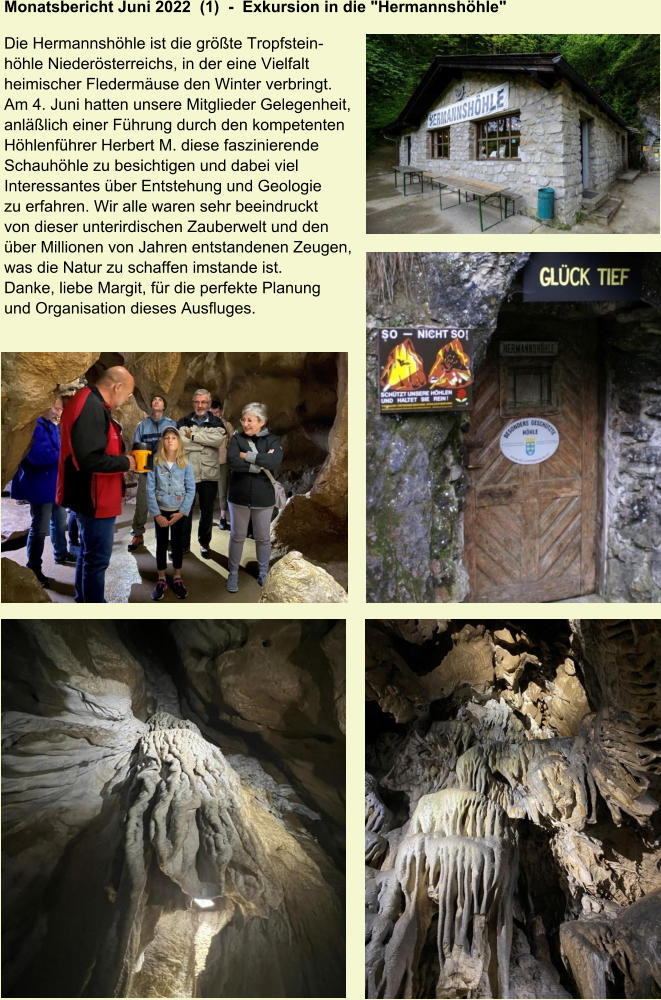Monatsbericht Juni 2022  (1)  -  Exkursion in die "Hermannshöhle"   Die Hermannshöhle ist die größte Tropfstein- höhle Niederösterreichs, in der eine Vielfalt  heimischer Fledermäuse den Winter verbringt.  Am 4. Juni hatten unsere Mitglieder Gelegenheit,  anläßlich einer Führung durch den kompetenten  Höhlenführer Herbert M. diese faszinierende  Schauhöhle zu besichtigen und dabei viel  Interessantes über Entstehung und Geologie  zu erfahren. Wir alle waren sehr beeindruckt  von dieser unterirdischen Zauberwelt und den  über Millionen von Jahren entstandenen Zeugen,  was die Natur zu schaffen imstande ist.  Danke, liebe Margit, für die perfekte Planung  und Organisation dieses Ausfluges.