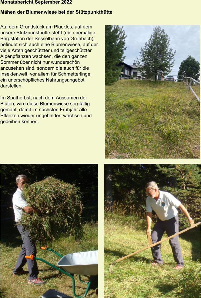 Monatsbericht September 2022 Mähen der Blumenwiese bei der Stützpunkthütte   Auf dem Grundstück am Plackles, auf dem  unsere Stützpunkthütte steht (die ehemalige  Bergstation der Sesselbahn von Grünbach),  befindet sich auch eine Blumenwiese, auf der  viele Arten geschützter und teilgeschützter  Alpenpflanzen wachsen, die den ganzen  Sommer über nicht nur wunderschön  anzusehen sind, sondern die auch für die  Insektenwelt, vor allem für Schmetterlinge,  ein unerschöpfliches Nahrungsangebot  darstellen.  Im Spätherbst, nach dem Aussamen der Blüten, wird diese Blumenwiese sorgfältig gemäht, damit im nächsten Frühjahr alle Pflanzen wieder ungehindert wachsen und gedeihen können.