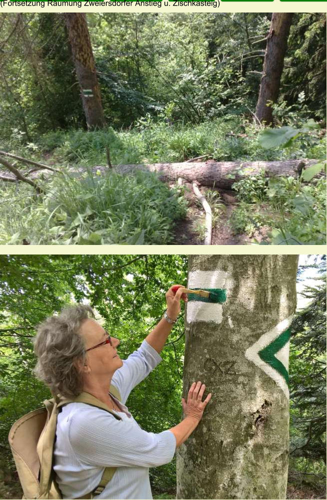 (Fortsetzung Räumung Zweiersdorfer Anstieg u. Zischkasteig)