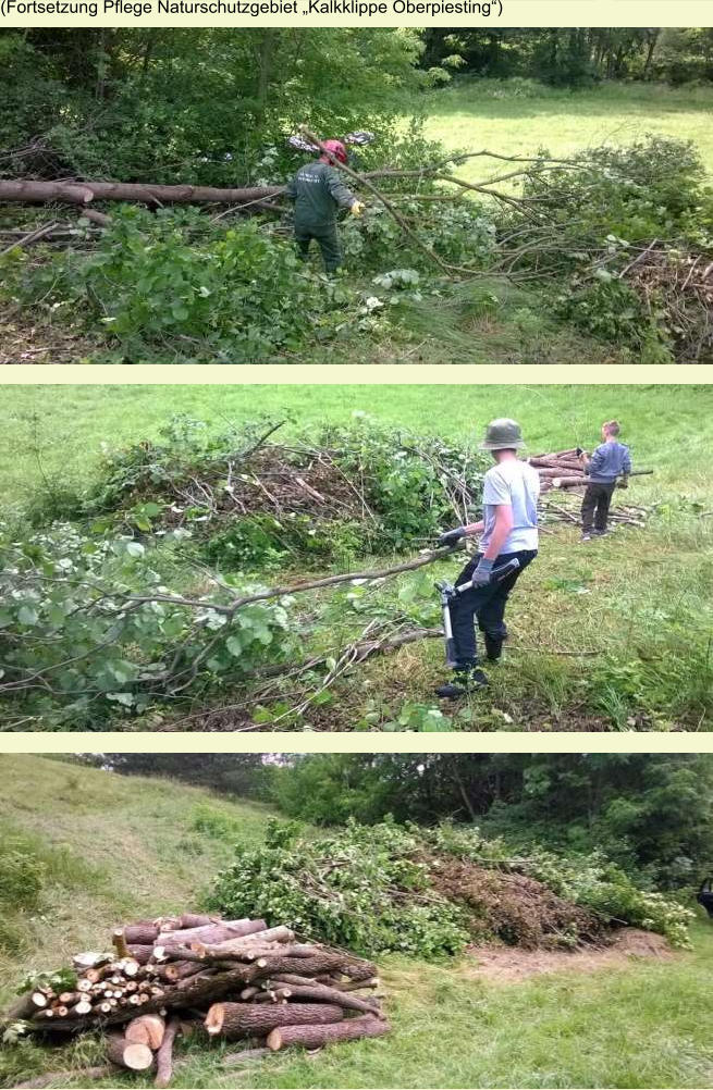 (Fortsetzung Pflege Naturschutzgebiet „Kalkklippe Oberpiesting“)