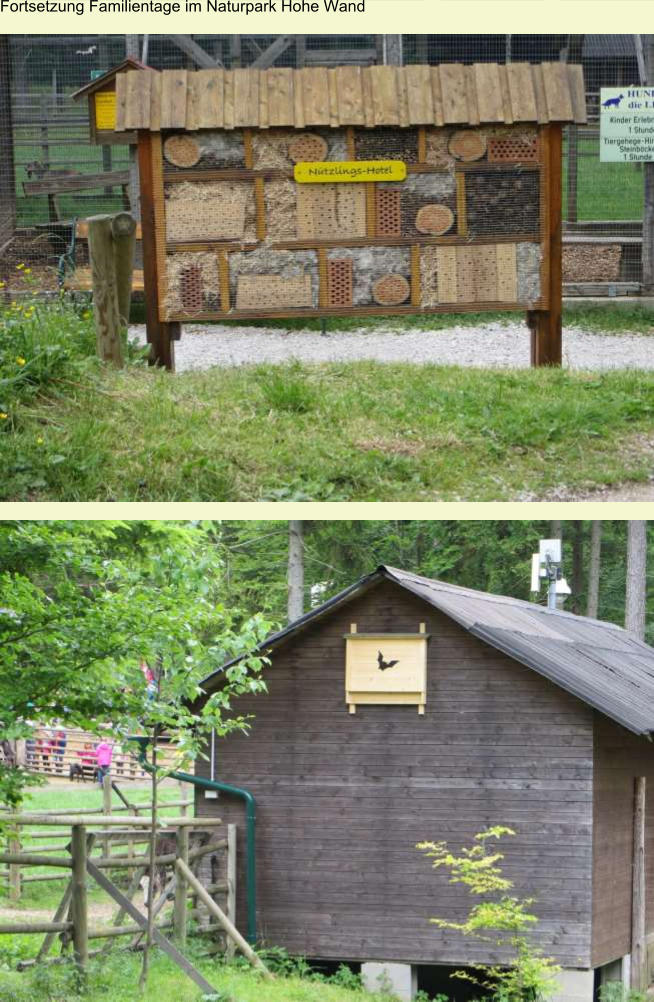 Fortsetzung Familientage im Naturpark Hohe Wand