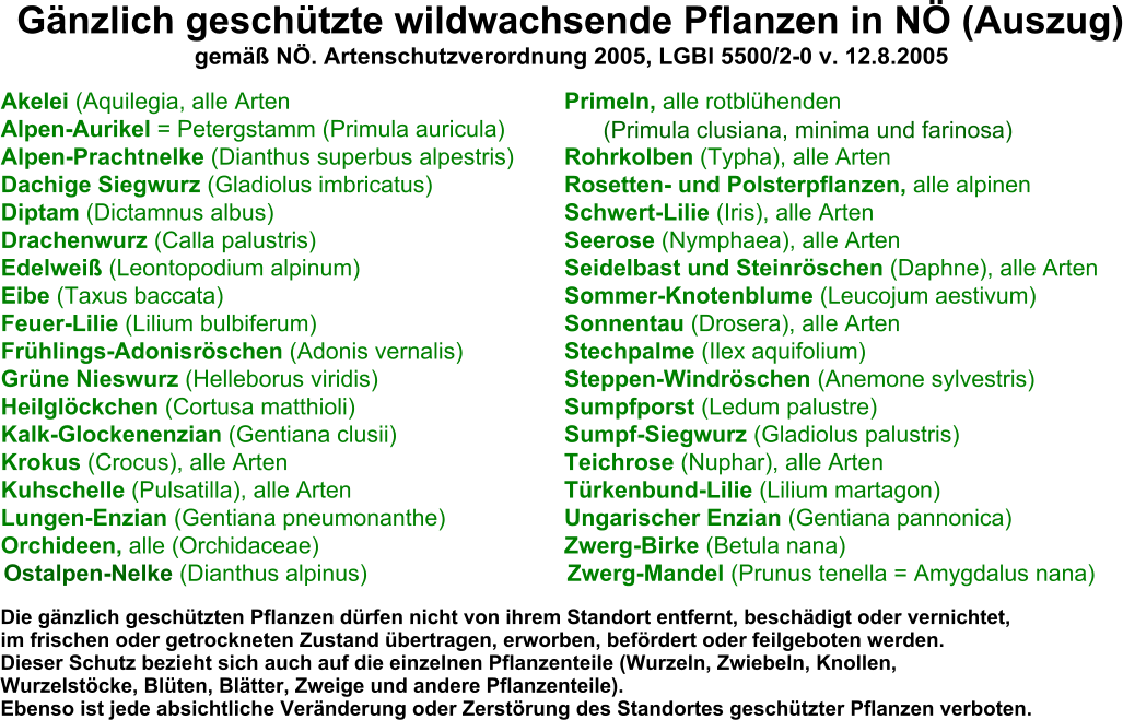 Akelei (Aquilegia, alle Arten Primeln, alle rotblühenden Alpen-Aurikel = Petergstamm (Primula auricula)      (Primula clusiana, minima und farinosa) Alpen-Prachtnelke (Dianthus superbus alpestris) Rohrkolben (Typha), alle Arten Dachige Siegwurz (Gladiolus imbricatus) Rosetten- und Polsterpflanzen, alle alpinen Diptam (Dictamnus albus) Schwert-Lilie (Iris), alle Arten Drachenwurz (Calla palustris) Seerose (Nymphaea), alle Arten Edelweiß (Leontopodium alpinum) Seidelbast und Steinröschen (Daphne), alle Arten Eibe (Taxus baccata) Sommer-Knotenblume (Leucojum aestivum) Feuer-Lilie (Lilium bulbiferum) Sonnentau (Drosera), alle Arten Frühlings-Adonisröschen (Adonis vernalis) Stechpalme (Ilex aquifolium) Grüne Nieswurz (Helleborus viridis) Steppen-Windröschen (Anemone sylvestris) Heilglöckchen (Cortusa matthioli) Sumpfporst (Ledum palustre) Kalk-Glockenenzian (Gentiana clusii) Sumpf-Siegwurz (Gladiolus palustris) Krokus (Crocus), alle Arten Teichrose (Nuphar), alle Arten Kuhschelle (Pulsatilla), alle Arten Türkenbund-Lilie (Lilium martagon) Lungen-Enzian (Gentiana pneumonanthe) Ungarischer Enzian (Gentiana pannonica) Orchideen, alle (Orchidaceae) Zwerg-Birke (Betula nana) Ostalpen-Nelke (Dianthus alpinus) Zwerg-Mandel (Prunus tenella = Amygdalus nana) Die gänzlich geschützten Pflanzen dürfen nicht von ihrem Standort entfernt, beschädigt oder vernichtet, im frischen oder getrockneten Zustand übertragen, erworben, befördert oder feilgeboten werden. Dieser Schutz bezieht sich auch auf die einzelnen Pflanzenteile (Wurzeln, Zwiebeln, Knollen, Wurzelstöcke, Blüten, Blätter, Zweige und andere Pflanzenteile). Ebenso ist jede absichtliche Veränderung oder Zerstörung des Standortes geschützter Pflanzen verboten. Gänzlich geschützte wildwachsende Pflanzen in NÖ (Auszug) gemäß NÖ. Artenschutzverordnung 2005, LGBl 5500/2-0 v. 12.8.2005